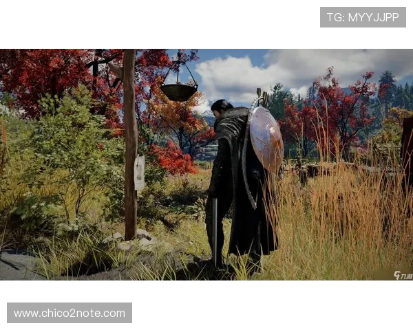 J9九游VIP直营平台如何利用VIP特权提升游戏体验，实用技巧全攻略